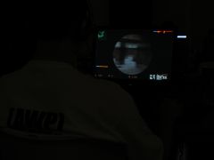 IMG_6709