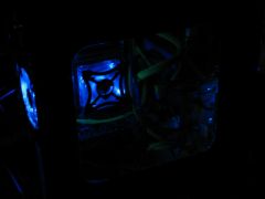 IMG_5982